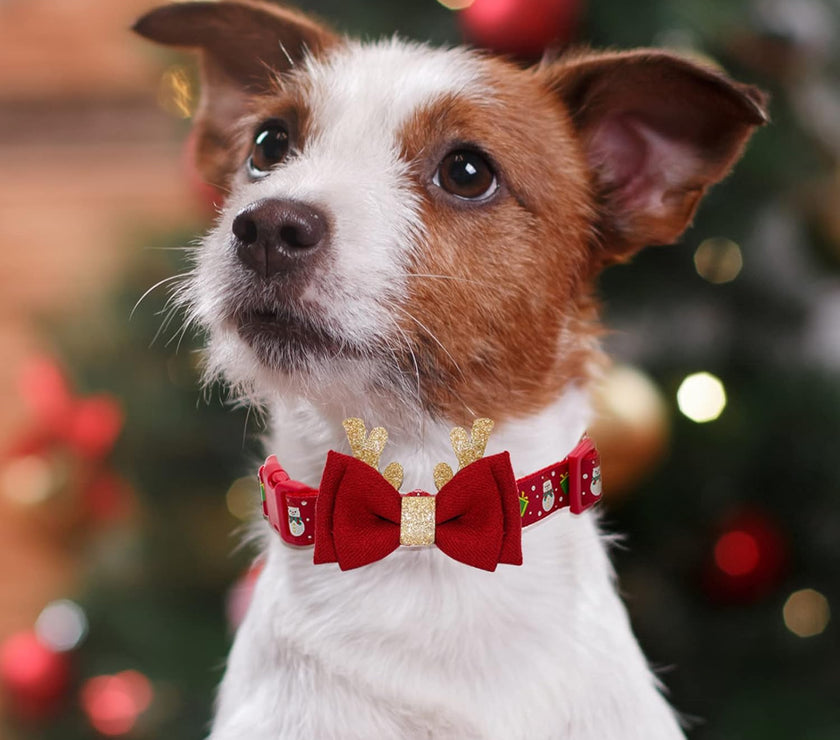 Christmas Dog Collar Adjustable Xmas Dog Collar with Christmas Antler Bow Tie Accessories Snowman Dog Collar for Medium Dogs